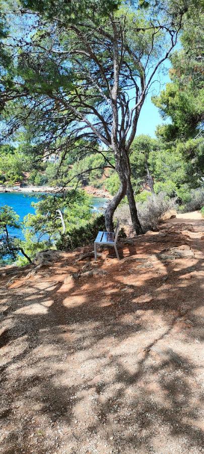 Appartamento Studio Vue Mer Bandol Esterno foto